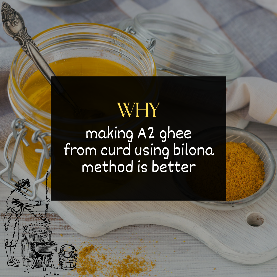 Why Making A2 Ghee from Curd Using Bilona Method is Better